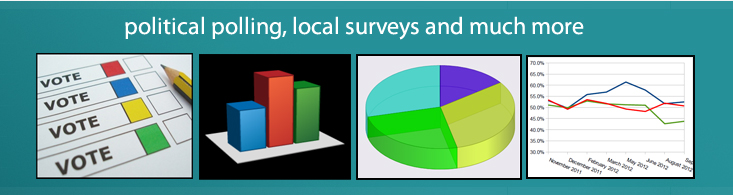 Political surveys, local polls and much more